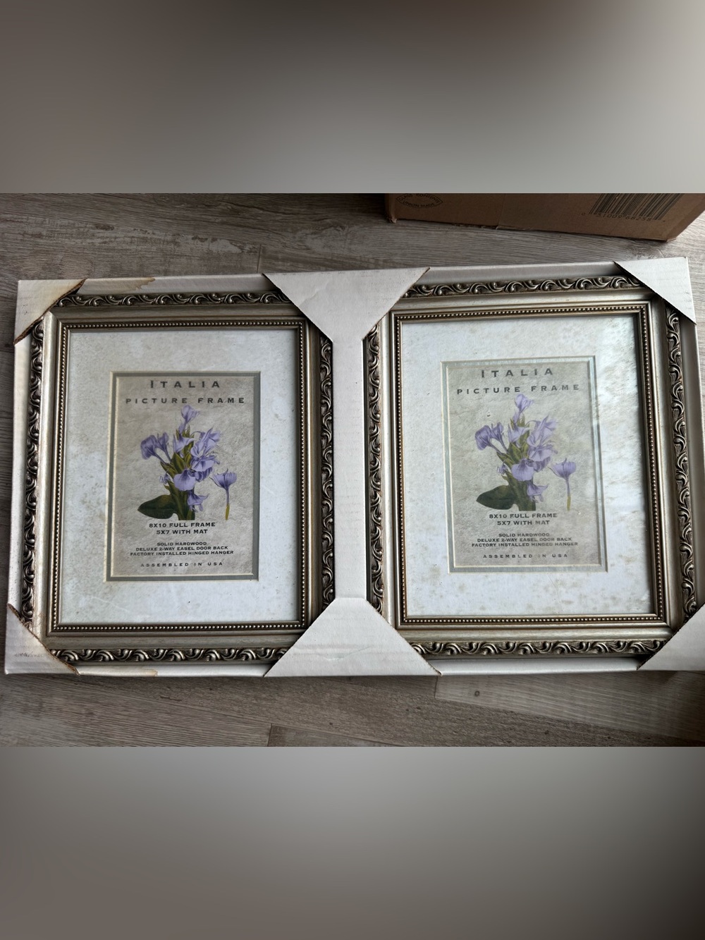 Italina Pair of Ornate Picture Frames in Gold and Cream